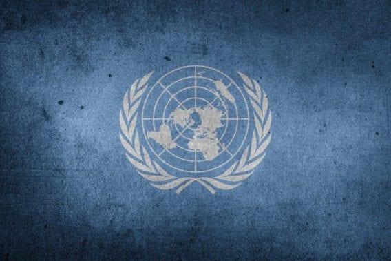 Foreign Relations Subcommittee: “… to achieve Universal Peace and Justice, the present Charter of the UN should be Changed to Provide a true World Government Constitution.”