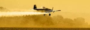 The EPA Issued a Press Release Banning the Use of DDT
