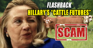 Did Hillary Clinton Commit Fraud in Her First Cattle Futures Trade where She Turned $1000 Investment into a $100,000 Phenomenon in Under 10 Months?