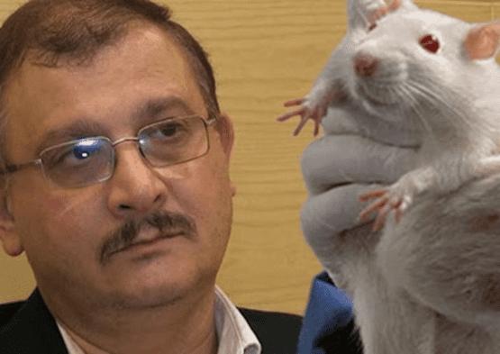 First Long-term GMO Study by Dr. Seralini Reveals GMO’s Very Toxic to Mammals