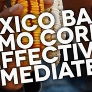 Mexico Bans Genetically Engineered Corn
