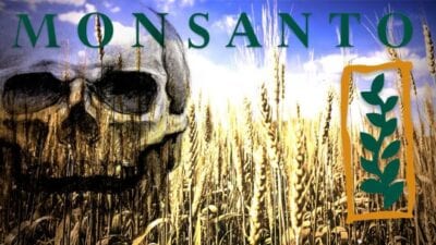Monsanto Corporation