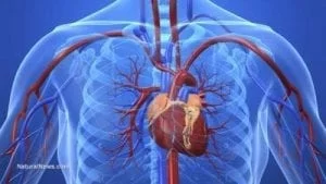 Big Pharma Changes Definition of “High Blood Pressure” to Trick Half of U.S. Adults into “Treatment” with High-Profit Prescription Drugs