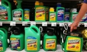 The FDA Responds to FOIA Requests Regarding Glyphosate Residue Testing
