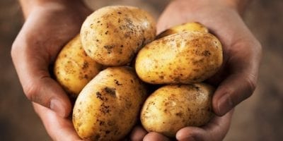 The Creator of GMO Potatoes Reveals The Dangerous Truth in an Exclusive Interview
