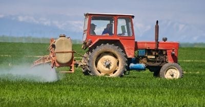 Study: Safety of Safety Evaluation of Pesticides (Dow Chemical Faked Safety Studies on Brain-Damaging Chlorpyrifos)