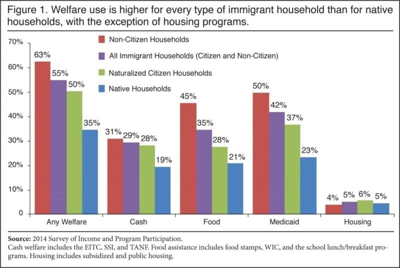Census confirms: 63 percent of ‘non-citizens’ on welfare, 4.6 million households