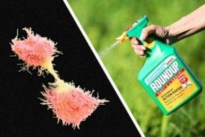 Another Jury Finds Monsanto’s ROUNDUP Weedkiller Caused a Man’s Cancer