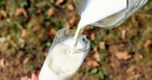 Study: Milk, Dairy Products Prevent Chronic Diseases