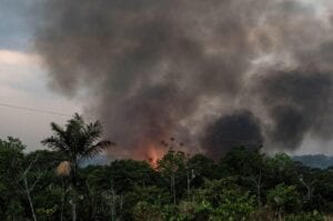 Fake News: Celebrities and Politicians Pass Off Fake Pictures Of Burning Amazon
