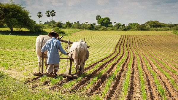 Study: Poor Countries will Need to INCREASE Carbon Footprint to Address Hunger