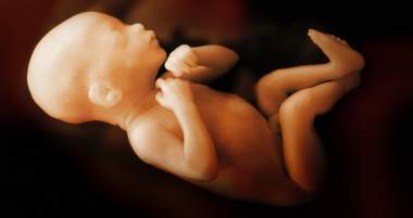 More Than 2,000 Aborted Children Discovered at Abortionist’s Home