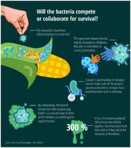 Bacteria Collaborate to Survive Contradicting Darwinism