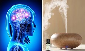 Study Explains What Happens To The Brain When You Diffuse Essential Oils