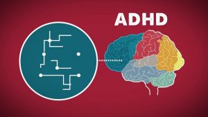 Vitamin D Deficiency During Pregnancy Connected to Elevated Risk of ADHD