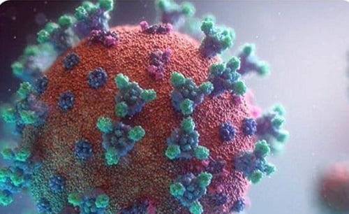 Fake News: Officials Say Reports of a Sudden Surge in Texas Coronavirus Cases Including More Than 80 Infants is FALSE