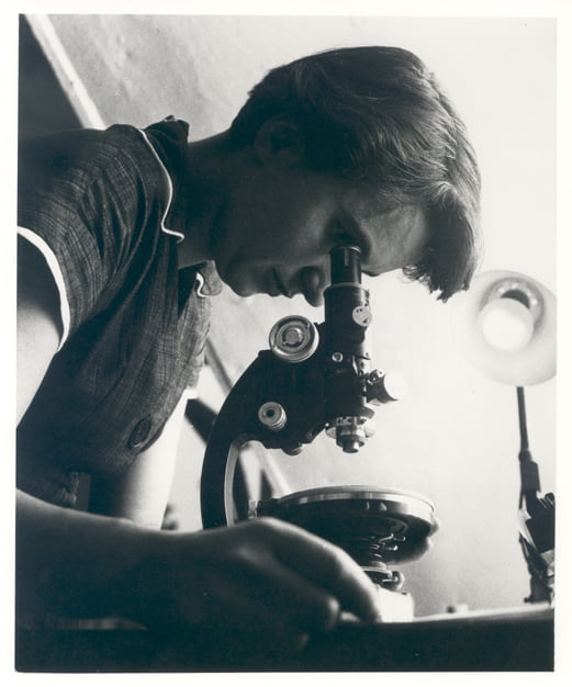 Discovery of the Double-Helix Chemical Structure of DNA, Credited to Watson and Crick – Ignoring the Real Discoverer, Dr. Rosalind Franklin