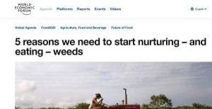 World Economic Forum Encourages Plebs To Eat Weeds & Drink Sewage to Reduce CO2 Emissions