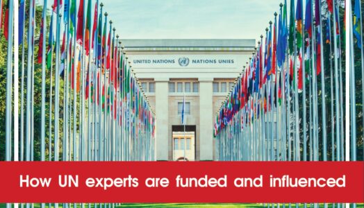 Report: Private Foundations Directly Finance UN Experts to Write Reports that Align with their Agendas