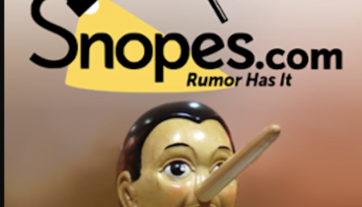 Snopes Suspends Co-Founder For Fake News