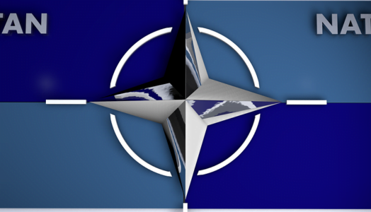 North American Treaty Organization (NATO)