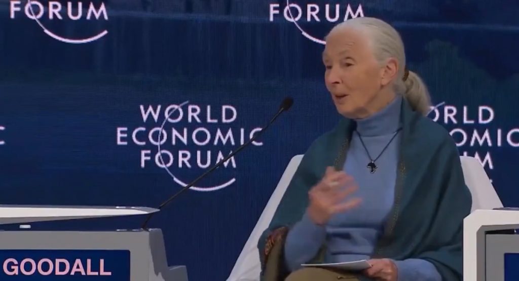 Davos: Jane Goodall says that global issues ‘wouldn’t be a problem’ if human population was 94% lower
