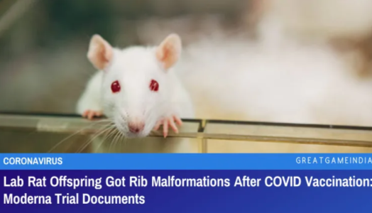 Moderna Trial Documents: Lab Rat Offspring Got Rib Malformations After COVID Vaccination