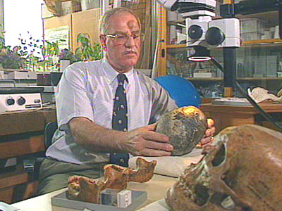 Professor Reiner Protsch von Zieten, famous for finding Evolutionary Missing Links, Exposed as Fraud